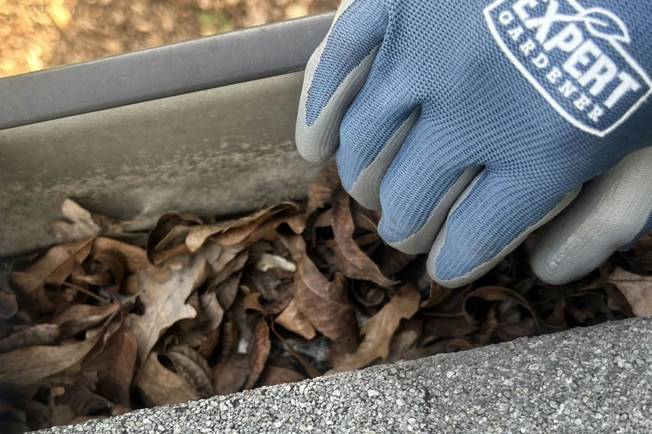 Gutter Cleaning Bethany